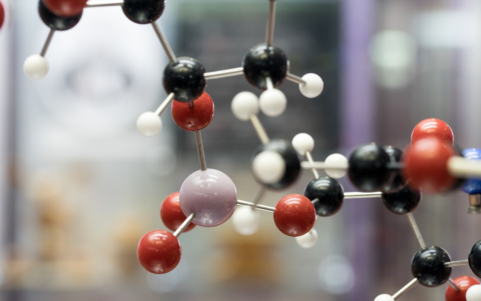 AP Chemistry (2026 Edition)