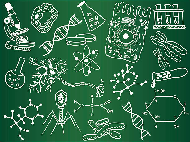 ABITUR BIOLOGIE